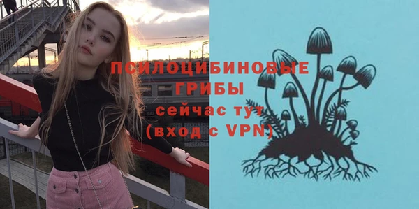 эйфоретик Гусев