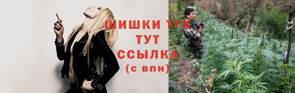 эйфоретик Гусев