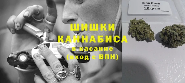 молекула духа Гусиноозёрск