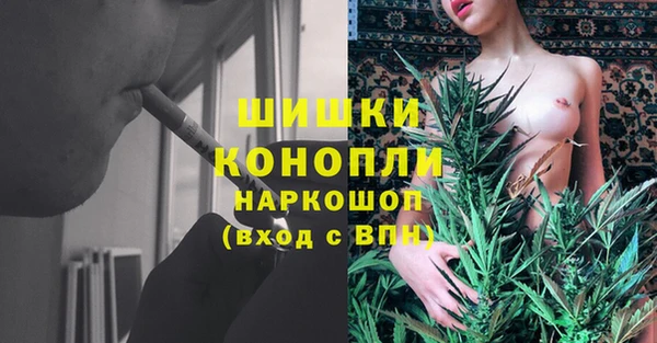 молекула духа Гусиноозёрск