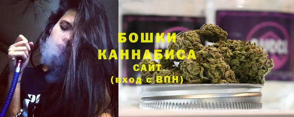 эйфоретик Гусев