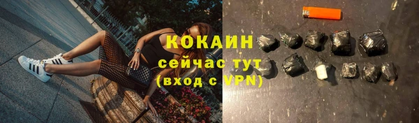 эйфоретик Гусев